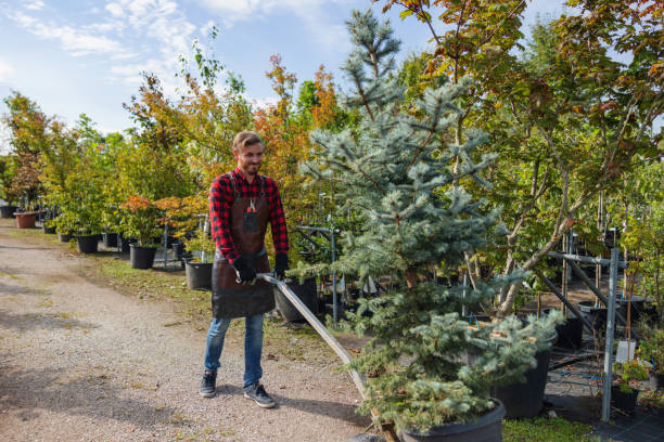 Best Tree Care Services  in Shiner, TX